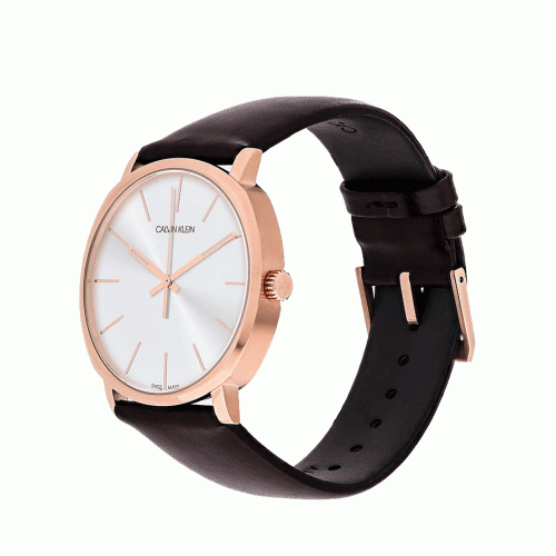 Calvin Klein Posh watch on wrist showing silver dial and brown leather strap