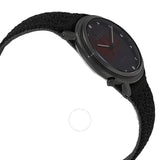 Citizen Eco-Drive Crystal Black Dial Ladies Watch EM1007-47E - The Watches Men & Co #2