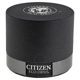 Citizen Eco-Drive Silver Dial Black Leather Men's Watch AO9000-06B - The Watches Men & Co #4