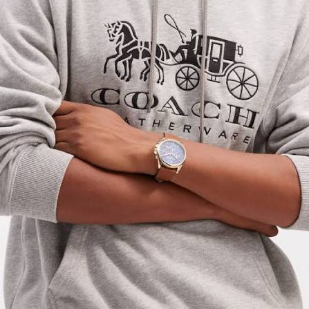 COACH Charles watch worn on wrist, gold case with blue dial and brown leather strap
