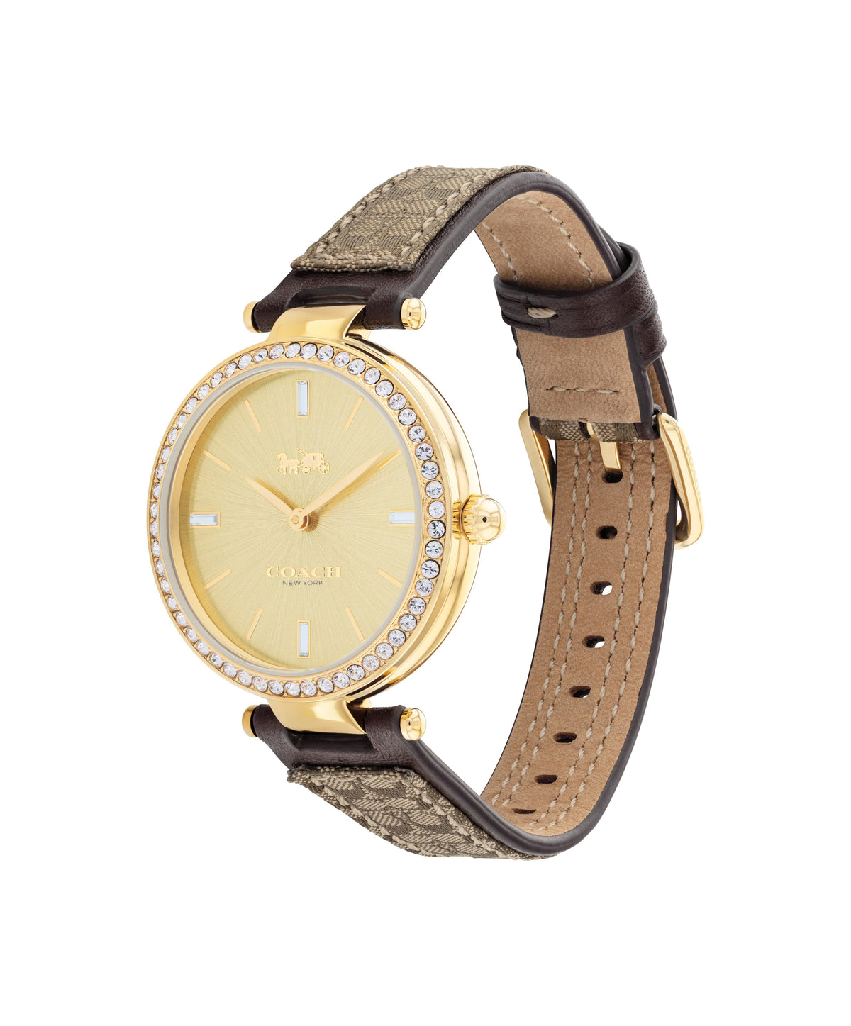 Coach Park watch side profile showing oval case, crystal bezel, and mixed-material strap