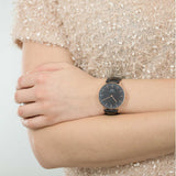 Daniel Wellington Sheffield 36mm Women's Gold Watch DW00100139