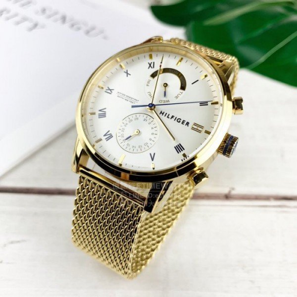Tommy Hilfiger Roman numeral dial watch displayed on surface with greenery
