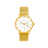 NOX-BRIDGE Supreme Vela Gold 36MM  VELA36 - The Watches Men & CO