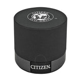Citizen Eco Drive World Time Grey Dial Two-tone Men's Watch AT9016-56H - The Watches Men & Co #4