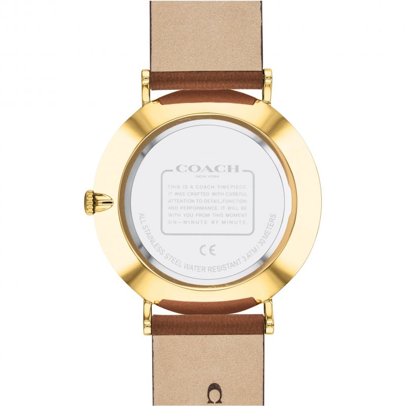 Coach Charles watch caseback showing gold case and water resistance details