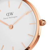 Daniel Wellington Petite Dover 32mm Ladies Watch DW00100311