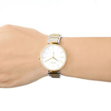 Hugo Boss Allusion Quartz Silver Dial Ladies Watch 1502417