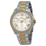 Fossil Cecile Silver Dial Two-tone Ladies Watch AM4543