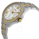 Fossil Cecile Silver Dial Two-tone Ladies Watch AM4543