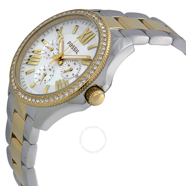 Fossil Cecile Silver Dial Two-tone Ladies Watch AM4543