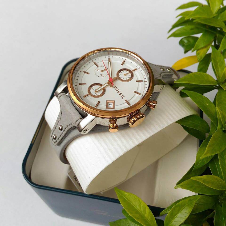Fossil Original Boyfriend chronograph watch displayed in presentation box with green plants