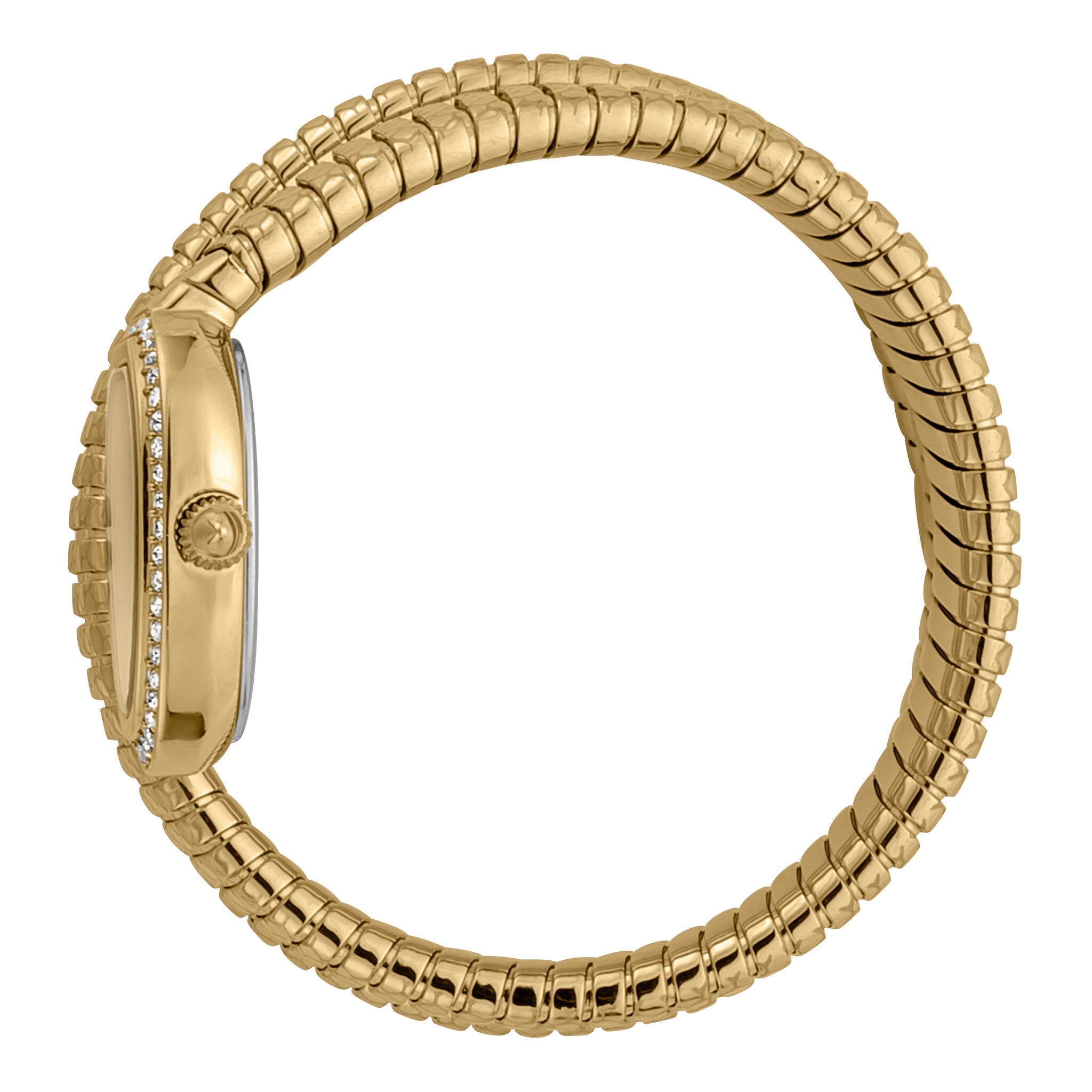 Snake bracelet watch from side view showing flexible gold segments