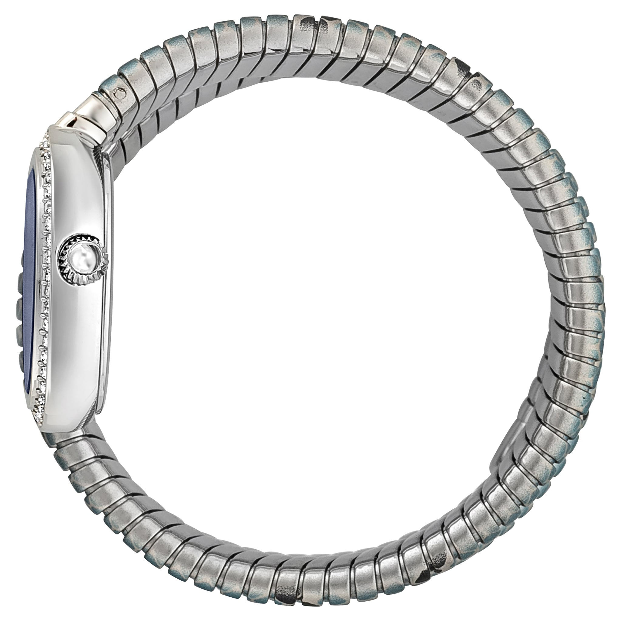 Side view of Just Cavalli Glam Snake watch showing oval case with crystal setting and coiled strap design