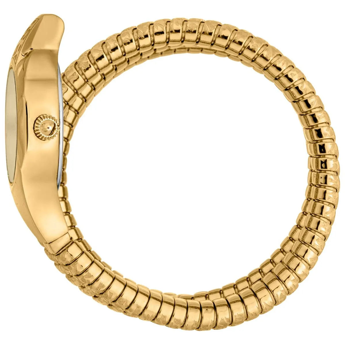 Just Cavalli Ravenna watch side profile showing case thickness and segmented strap