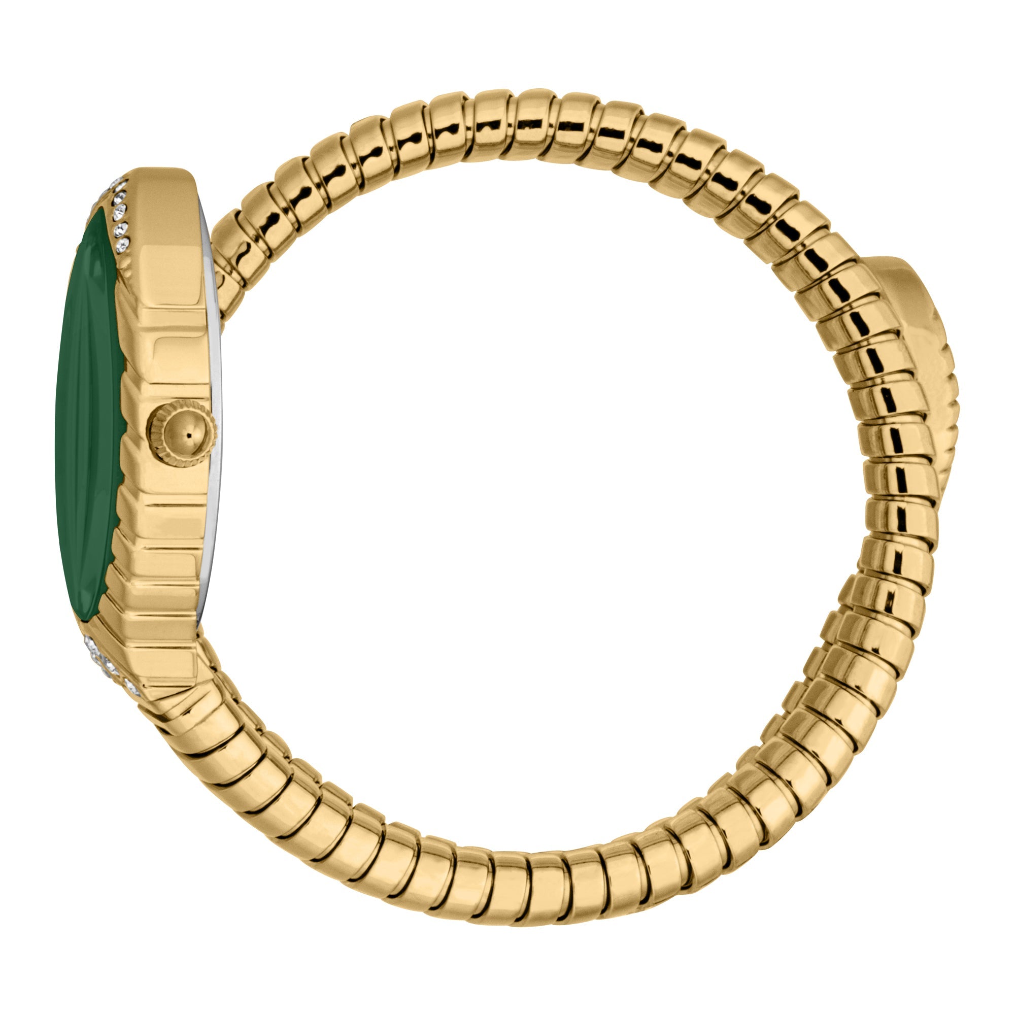 Side view of Just Cavalli Unica watch displaying coiled gold strap and green oval case