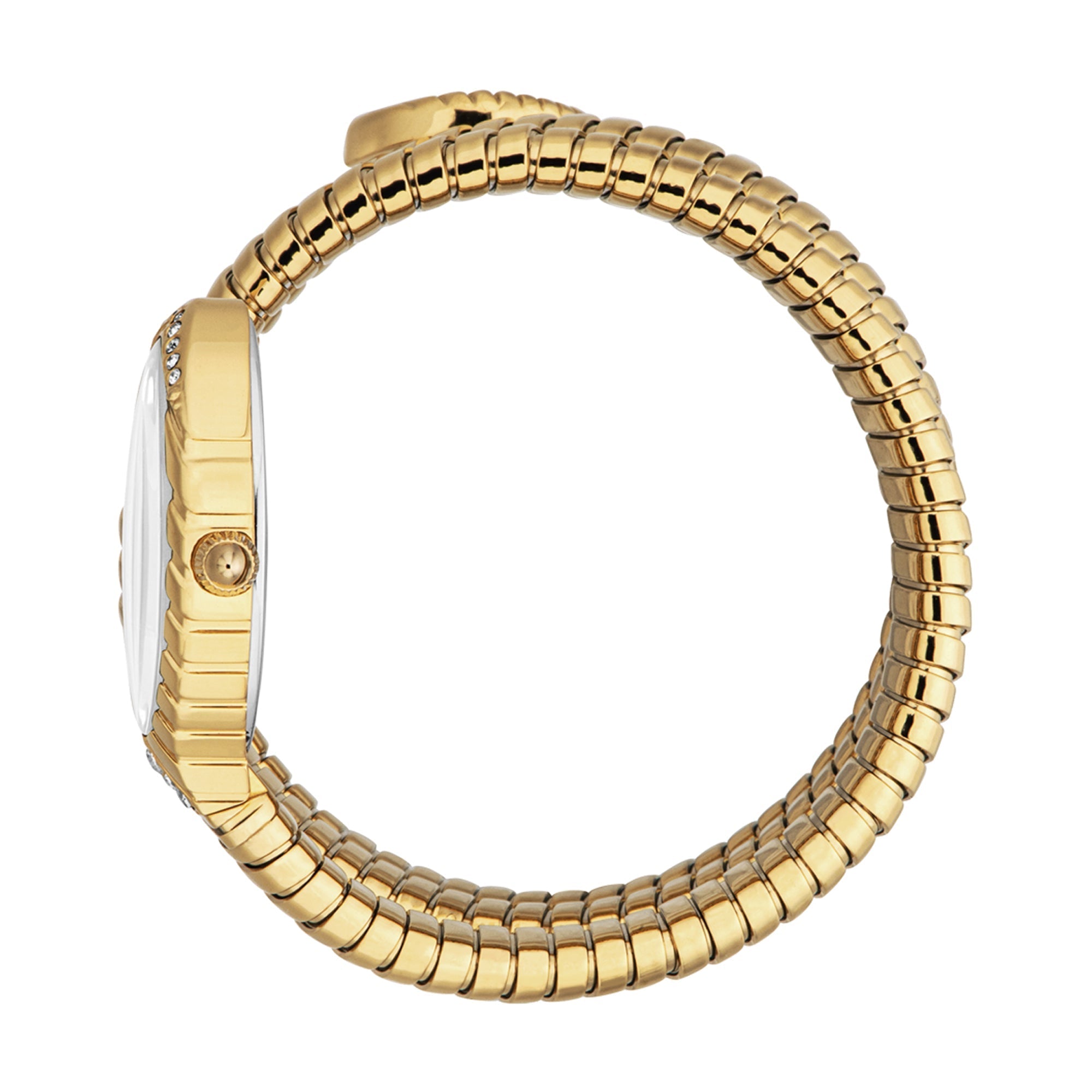 Just Cavalli Specchio watch on wrist showing silver dial and gold strap