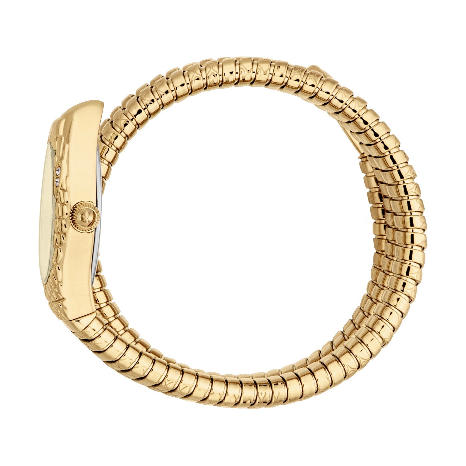 Just Cavalli snake wrap watch shown from side view with serpent coil bracelet