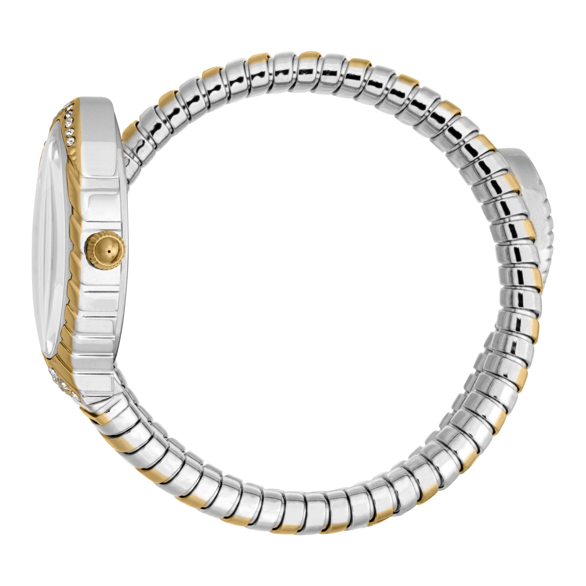 Just Cavalli Unica Snake watch side view displaying two-tone bracelet and case profile