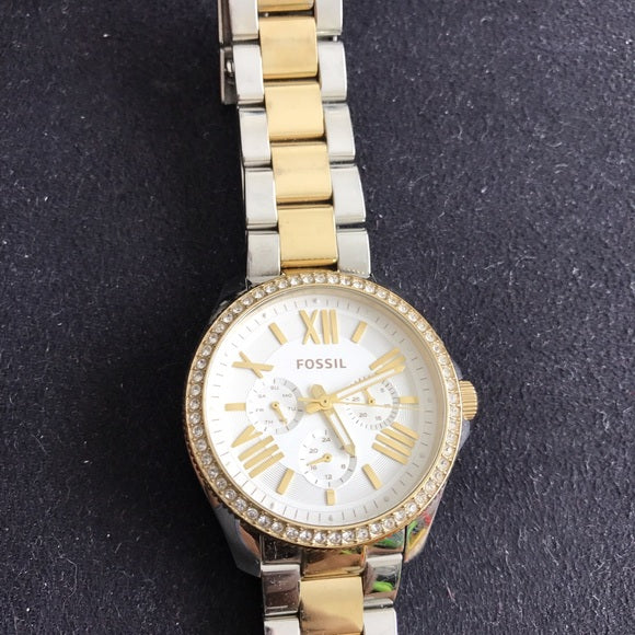 Fossil Cecile Silver Dial Two-tone Ladies Watch AM4543