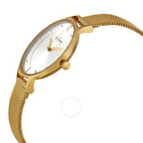 Skagen Anite Silver Dial Gold-tone Mesh Ladies Watch SKW2150 - The Watches Men & Co #2