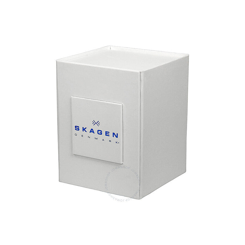 Skagen Anite Silver Dial Gold-tone Mesh Ladies Watch SKW2150 - The Watches Men & Co #4