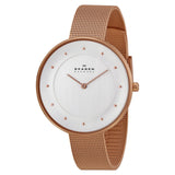 Skagen Gitte Silver Dial Rose Gold-tone Ladies Watch SKW2142 - The Watches Men & CO